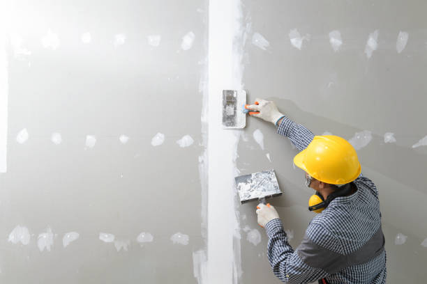 Best Biohazard Mold Removal  in Pleasant Valley, WV